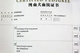 考证一个人的祖上有多大意思图片