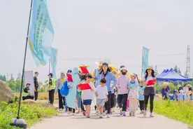 在大大的田间插绿绿的秧……这个农趣活动你参加了吗？图片