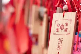 我是个不孝子，为了交上今年的社保，厚着脸皮向八十岁老母亲借钱图片