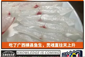 在广西横县鱼生面前，日本刺身就是弟弟图片