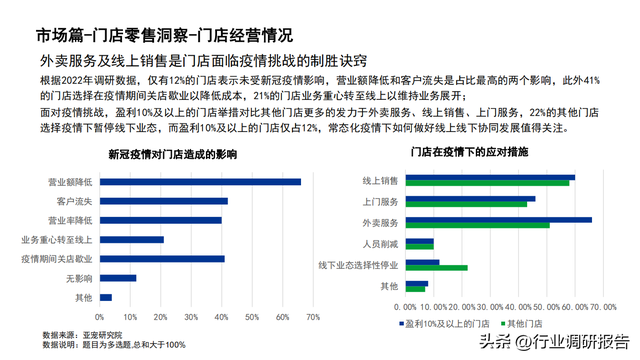 2022���й�������ҵ��չ���棨�����ߡ������ŵꡢ�г�����