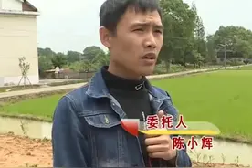 妻子生孩子，爸爸不是我？男人在外打工一年没回户口上却多了一人图片