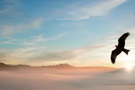 普通人怎么写标题比较吸引人图片