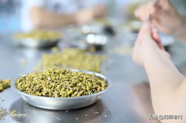 揭开冬虫夏草的神秘面纱，别再乱花钱，冬虫夏草值不值得买