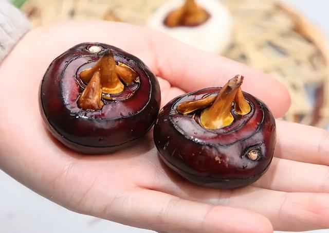 荸荠和马蹄一样吗 - 种类 - 花亭湖