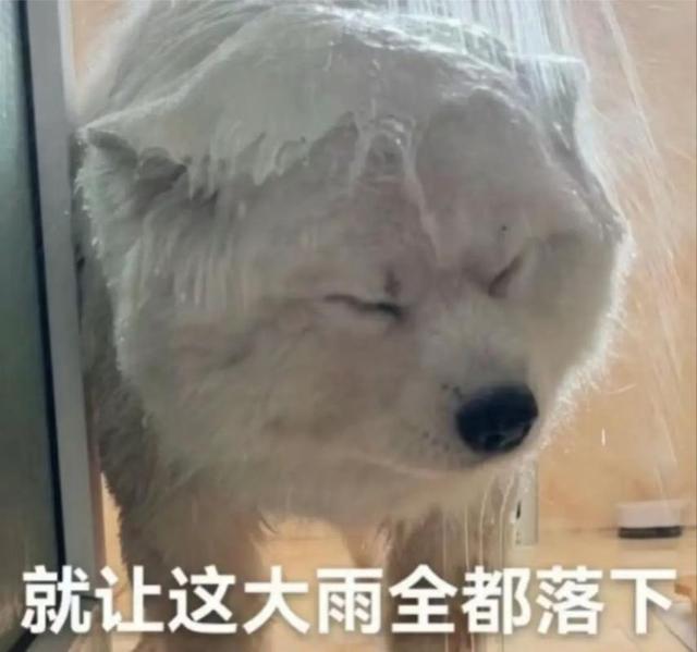 李炮含金量还在上升！CSGO市场大地震，无数大佬破产，网友：神了