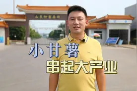 争一流争第一争唯一｜小甘薯串起大产业图片