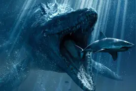 辟谣！海底一万米有未知巨型生物？只有些小鱼小虾和塑料垃圾图片