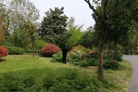 过去的日子，都是美好的回忆图片