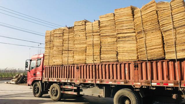 藏在身边的2个小商机,夫妻俩投资10多万就能干,销路好、竞争小