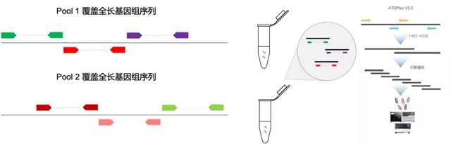华大智造ATOPlex V3.0 + DNBSEQ测序平台联合出击