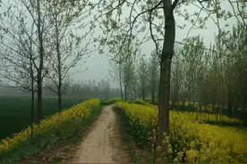 父亲，这个世界你曾经来过图片