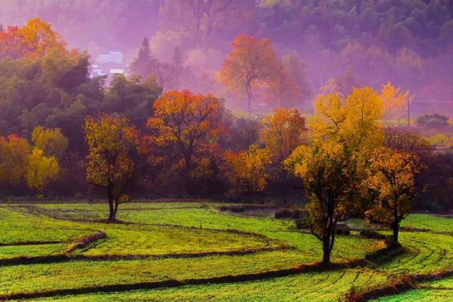 蓝眼泪、云海、星空、雾凇……首批15个“天气气候景观观赏地”公布,都是摄影人的最爱