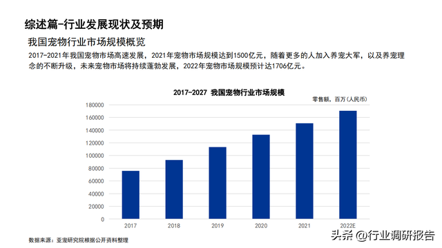 2022���й�������ҵ��չ���棨�����ߡ������ŵꡢ�г�����