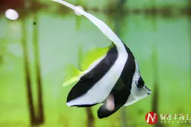 浙江省最大的海洋馆，门票160元，亲子旅游好去处图片