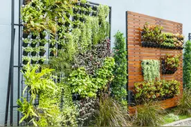 废旧铁丝不要扔，拧几下能当花架子，养花种菜更简单，反正不花钱图片