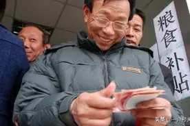 多地2022年“粮补”将下发，每亩补贴多少钱？5种情况取消资格图片