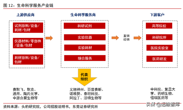 高端化学科研试剂龙头，阿拉丁：电商模式天然契合科学服务行业