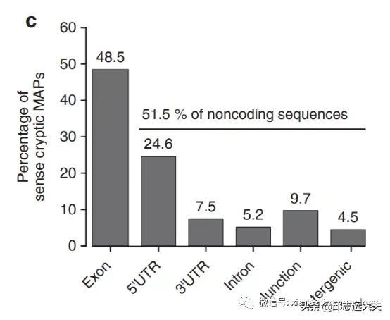 研究肿瘤必须知道的十一类肿瘤抗原