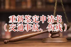 重新鉴定申请书（交通事故、伤残）图片