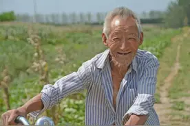 长寿需要静养？哪些静养活动有助于人体长寿？做好4点很重要图片