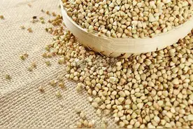 为什么荞麦相比之下并不美味，却一直被人们深深喜爱？图片