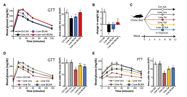 鏀摼姘ㄥ熀閰镐綔涓鸿€佸勾钀ュ吇鍏抽敭鍏辫瘑锛岀珶琚編涓撳鍚﹀畾锛熻惀鍏诲笀鏉ヨВ璇? onerror=