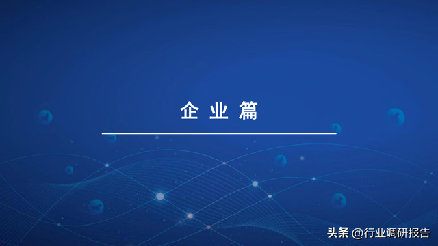 2022���й�������ҵ��չ���棨�����ߡ������ŵꡢ�г�����