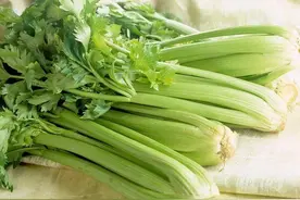 芹菜有4种，哪种才是真正的稳压高手呢？图片