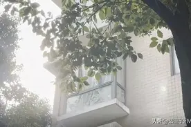 沪一小区电梯内“暴雨”后，关人、急坠竟成日常，有人爬楼33层……修不好了？图片