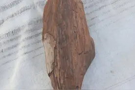 面包会有的（励志文）图片