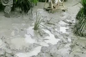 打油诗：留守妇女图片