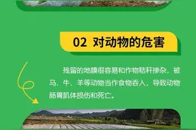 每日科普｜残留地膜对环境有什么危害？图片