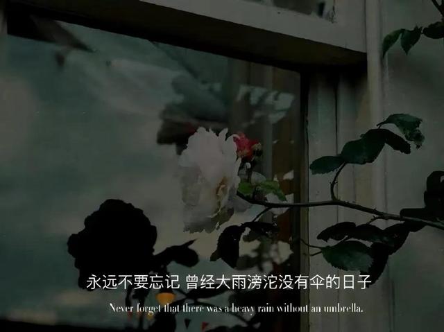 朋友圈情感文案图｜我也想放过自己，可情绪不放过