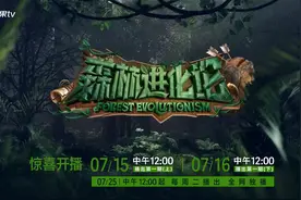 《森林进化论》首场对决拉开帷幕，以全新视角呈现博弈魅力图片