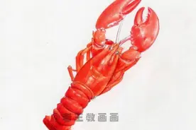 彩铅画小龙虾，没想到画的这么逼真图片