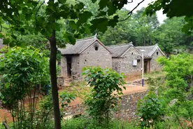 汝州深山藏多年石头村：因一颗千年古槐而出名，今成深山岭上的“世外桃源”图片