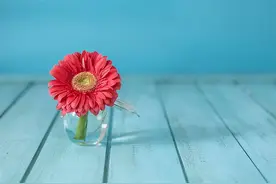 嘴巴笨，不会夸人的星座，情商太低图片