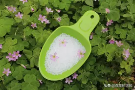 EVA热熔胶有什么优点图片