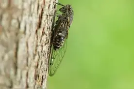 90后的童年回忆图片