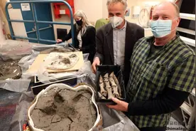 「新西兰」遛狗者在新西兰发现灭绝的巨型恐鸟骨骼图片