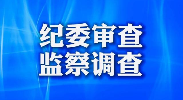 突发！6月21日，湖南省又有漂亮“母老虎”被查，各省共计4人落马