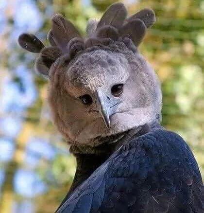 25张稀奇古怪的片,有几张让人感到害怕