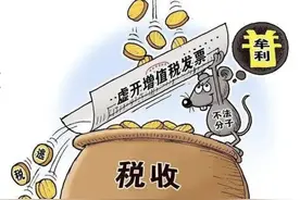 虚开增值税专用发票罪的认定、量刑、无罪及罪轻辩护要点图片