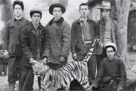 安徽“武松”何广位：生擒7只猛虎，豹子230只，比武松还厉害？图片