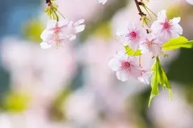 真正厉害的女人，对待男人的态度：8个字，这才是真聪明图片