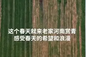 河南日报一句麦田很治愈，引来无数谩骂，被人怒批不知人间疾苦图片