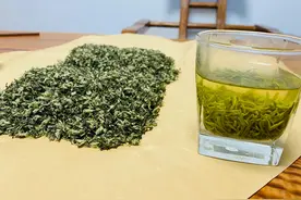 如何挑选正宗洞庭碧螺春？如何成功避雷？图片