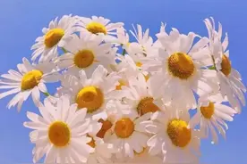 八字短句，句句好冷图片