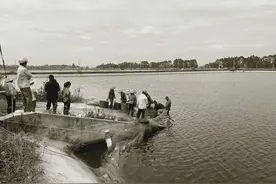 《活着》————余华图片